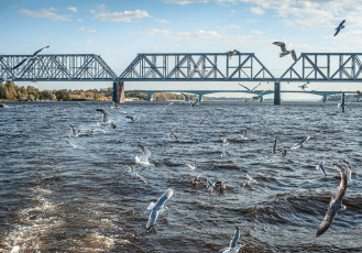 yaroslavl-92